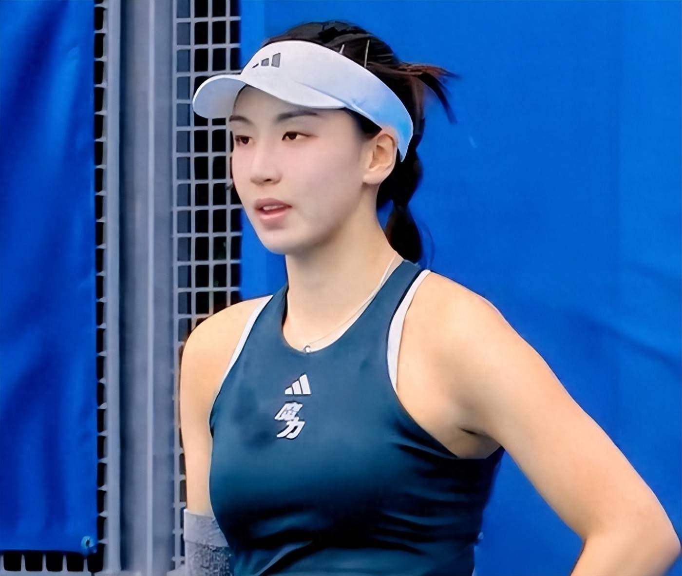 球队的整体 球队的整体